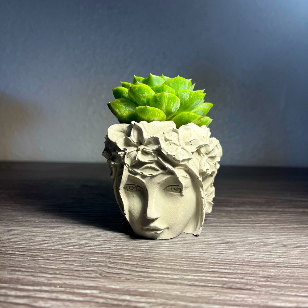 Decorative Planter for succulents
